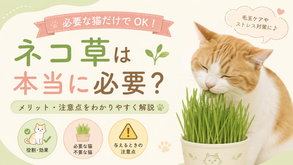 ネコ草を食べる茶白猫と「ネコ草は本当に必要？」のタイトルを描いた、ネコ草の役割やメリット・注意点を紹介するアイキャッチ画像。