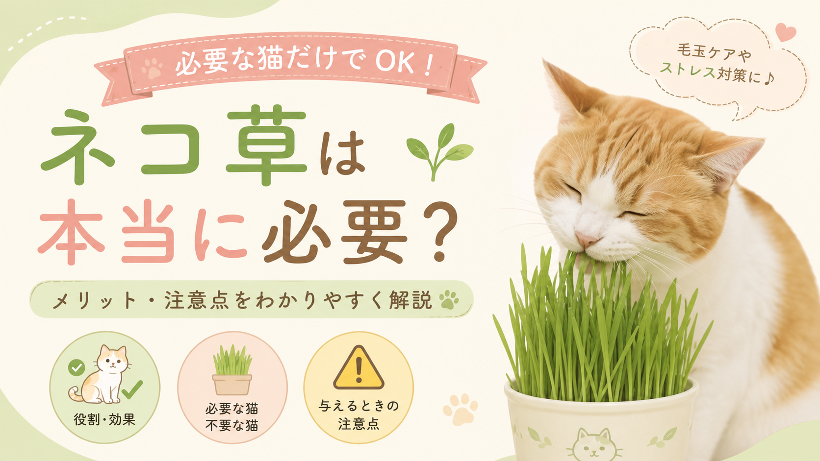 ネコ草を食べる茶白猫と「ネコ草は本当に必要？」のタイトルを描いた、ネコ草の役割やメリット・注意点を紹介するアイキャッチ画像。