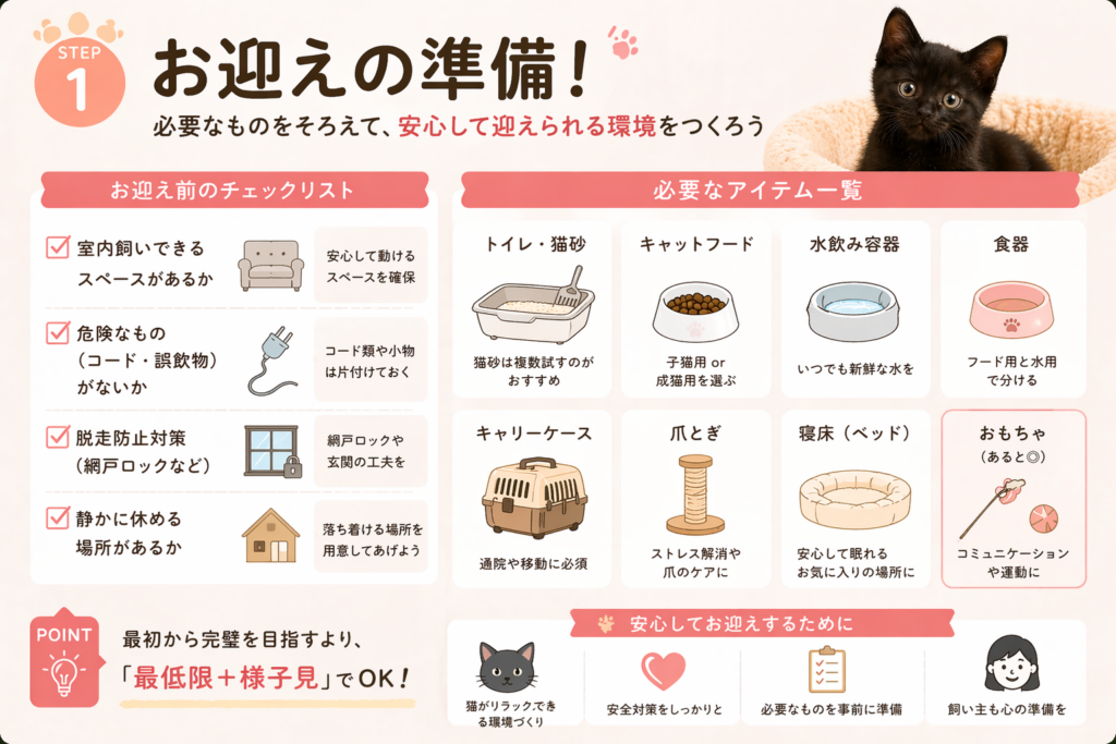 猫を飼う前の準備に必要なものと環境を解説した初心者向けインフォグラフィック