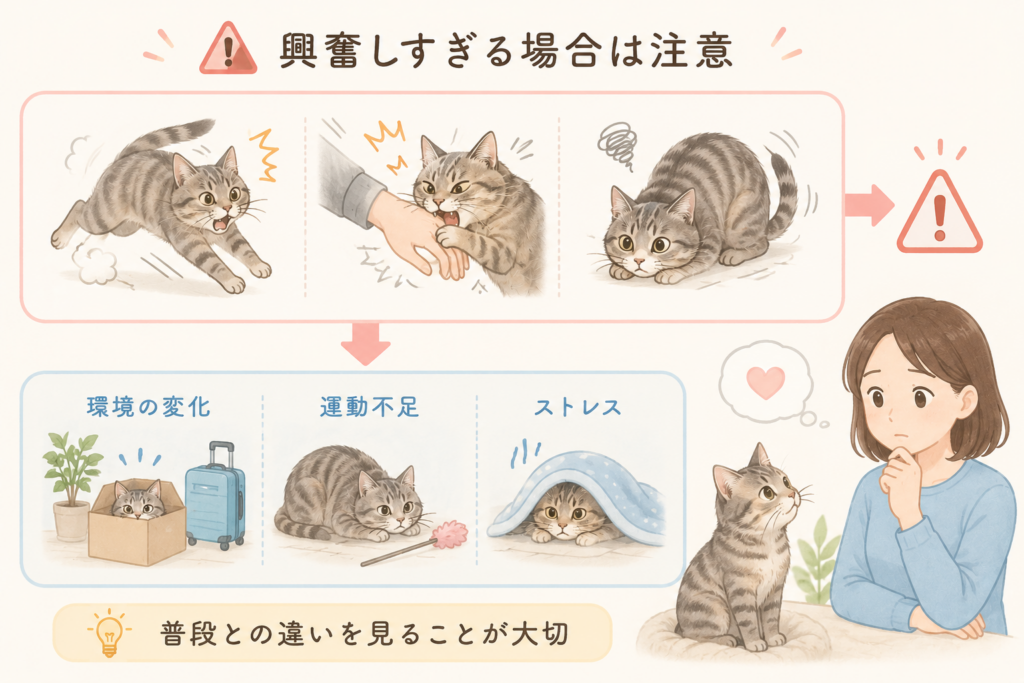 猫が興奮しすぎる原因やストレスサインを解説したイラスト