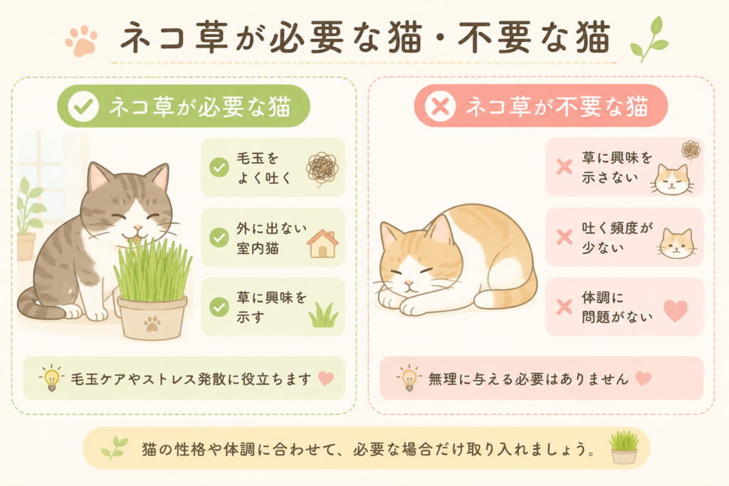 ネコ草が必要な猫と不要な猫の特徴を比較したイラスト。毛玉をよく吐く猫や室内猫、草に興味がある猫は必要な場合があり、興味を示さない猫や体調に問題がない猫は無理に与える必要がないことを解説。