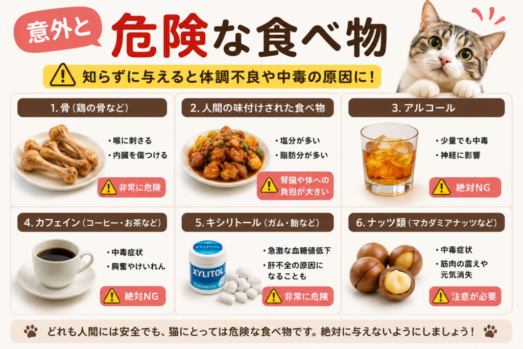 猫にとって意外と危険な食べ物を紹介するイラスト。鶏の骨、人間の味付け食品、アルコール、カフェイン、キシリトール、ナッツ類など猫に与えてはいけない食べ物を解説。